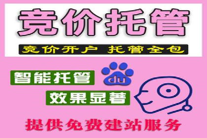 某行业sem代运营推广公司成功案例分析